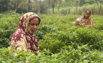 A new project puts women at the forefront of climate resilience in Bangladesh